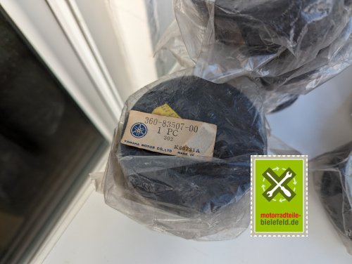 PXL_20240523_150344503